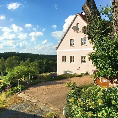 Spacious With Sauna In Schonsee